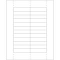 11/16 x 3" Plastic Label Holder Insert Cards