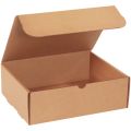 12 ⅛ x 9 ¼ x 4″ Kraft Literature Mailers