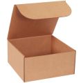 12 x 12 x 6″ Kraft Literature Mailers