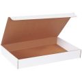 19 x 12 x 2 ½″ White Literature Mailers