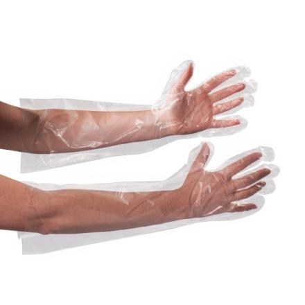 Category Elbow Length Poly Gloves image